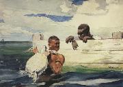 Winslow Homer The Turtle Pound (mk44) oil painting on canvas